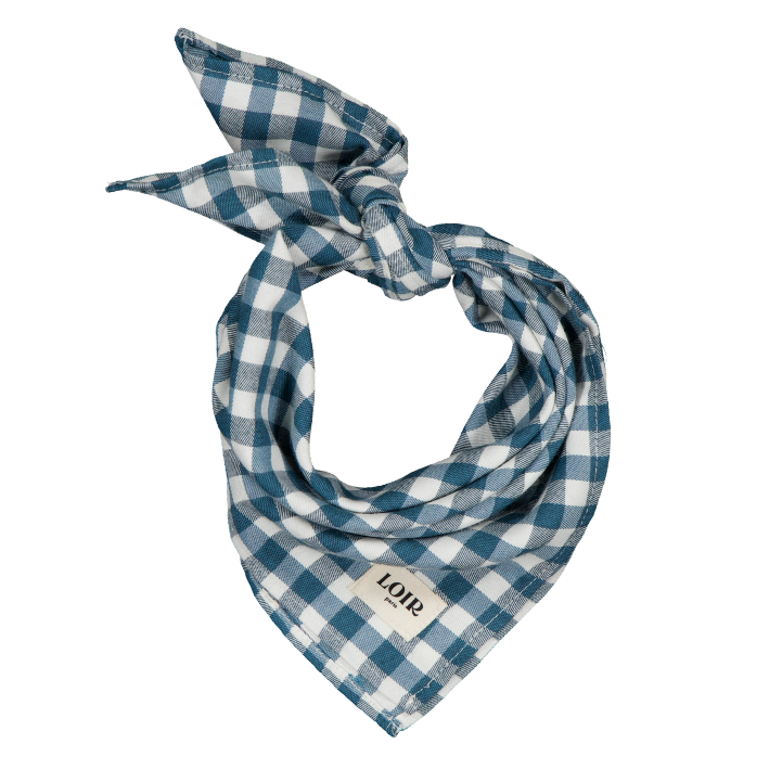 Foulard Loir Paris